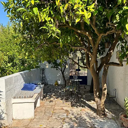 Trullo Starbax